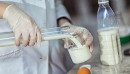 Что такое пороки молока и как с ними бороться