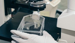 Разбор: Как выявляют фальсификацию молочных продуктов в России