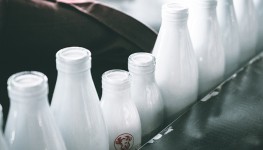 Опыт: как назвать продукт, в котором больше половины жиров немолочные