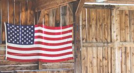 Обзор: Почему фермерам самого молочного штата в США не нужны государственные деньги