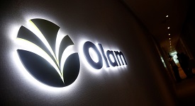 Отчёт Olam: выручка, объемы и результаты «Русмолко»