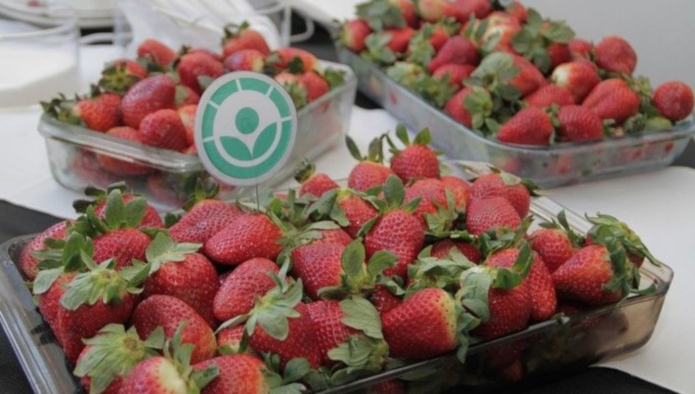 Поправки в техрегламент ТС разрешат облучать и обогащать продукты