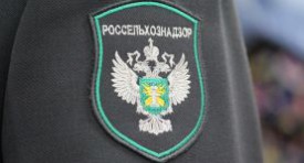 Россельхознадзор ответил на вопросы по электронной ветеринарной сертификации готовой молочной продукции