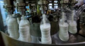 Обзор: основные молочные предприятия Удмуртии