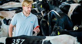 Как снизить издержки производства с помощью автоматических систем мониторинга стада