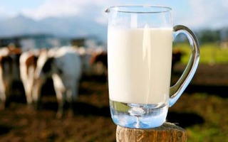 Корейские ученые установили: молоко, надоенное ночью, поможет справиться с бессонницей и тревогой