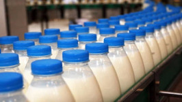 Россия отменила ограничения на ввоз молока и молочной продукции из Казахстана