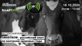 Milknews и «Зоэтис» проведут вебинар «SMARTBOW - российский опыт по контролю здоровья стада»