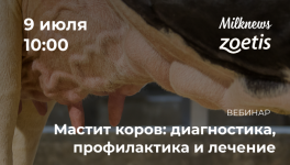 9 июля Milknews и «Зоэтис» проведут вебинар «Мастит коров: диагностика, профилактика и лечение»