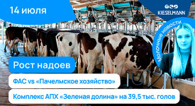 Новости за 5 минут: рост надоев, ФАС vs «Пачелмское хозяйство», комплекс АПХ «Зеленая долина» на 39,5 тыс. голов