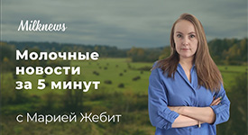 Milknews запускает видеопроект «Молочные новости за 5 минут»