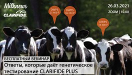 26 марта Milknews и «Зоэтис» проведут вебинар «Ответы, которые даёт генетическое тестирование CLARIFIDE PLUS»