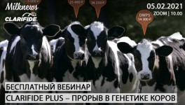 5 февраля Milknews и «Зоэтис» проведут вебинар «CLARIFIDE PLUS – ПРОРЫВ В ГЕНЕТИКЕ КОРОВ»