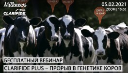 Milknews приглашает присоединиться к трансляции вебинара «CLARIFIDE PLUS – ПРОРЫВ В ГЕНЕТИКЕ КОРОВ»