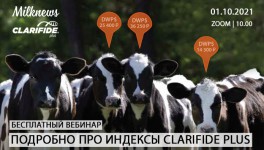 guid код по инн. e 508. guid код по инн фото. guid код по инн-e 508. картинка guid код по инн. картинка e 508. Как в нашей стране для учета организаций используется, специальный учетный номер ИНН, так и в системе ФГИС Меркурий для внутреннего учета внутри Россельхознадзор разработал специальные учетные номера Гуиды, с помощью которых учитывается каждая организация (Хозяйствующий субъект) и её места осуществления деятельности (Поднадзорные объекты, площадки, предприятия).