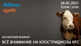 Milknews приглашает присоединиться к трансляции вебинара «Всё внимание на клостридиозы КРС»