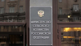 Минсельхоз изменил максимальный размер льготных кредитов для ряда регионов