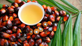 Володин предложил ввести уголовное наказание за использование пальмового масла в продуктах