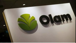 Olam вложит $500 млн в производство ингредиентов и в будущем продаст другие подразделения