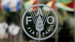 ФАО: мировые цены на продовольствие в апреле выросли на 1%