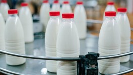 Россельхознадзор ввел усиленный контроль продукции трех белорусских молочных предприятий