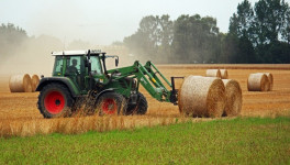 Кабмин России утвердил правила ведения реестра сельхозземель