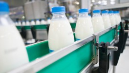 В презентации рейтинга крупнейших молочных компаний Беларуси приняли участие более 180 компаний