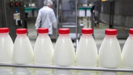 Переноса подключения системы маркировки молочной продукции к ЭДО не будет - Минпромторг РФ