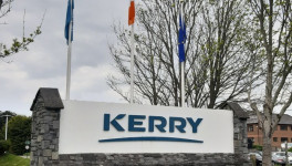 Ирландская Kerry Group продает молочное подразделение