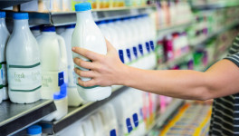 Архангельские производители молока просят приостановить обязательную маркировку