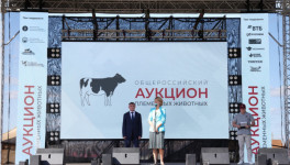 В Чувашии прошел II Общероссийский аукцион племенных животных