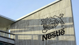 Чистая прибыль Nestle сократилась в I полугодии на 12%, выручка увеличилась на 9%
