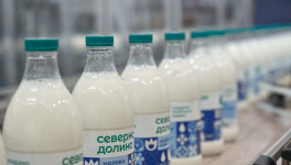 Агрохолдинг «Шахунское молоко» сменил название на «РУСЛАКТО»