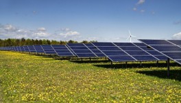 Arla Foods построит в Дании четыре солнечные электростанции для выполнения обязательств по климату