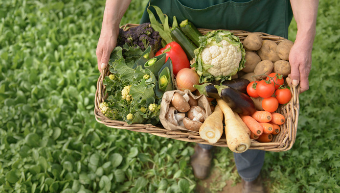 Роскачество проверило органические продукты, нашло нарушения у 2 производителей