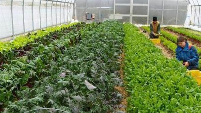 Первые шесть ГОСТов на «зеленую» продукцию утверждены в России - Роскачество