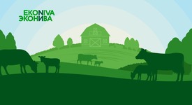 «Ъ»: изменены сроки строительства животноводческого комплекса «Эконивы» в Алтайском крае