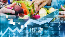 В июле мировые цены на продовольствие выросли на 1,6%