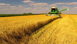 Минтруд ожидает снижение спроса на кадры в сельском хозяйстве