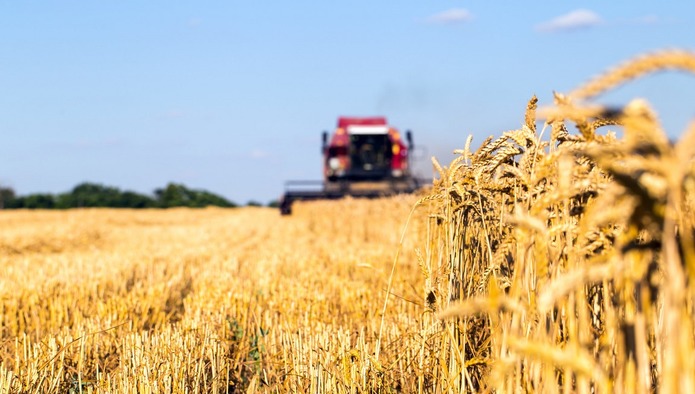 Экспорт продукции АПК из России в 2022 году вырос почти на 12%