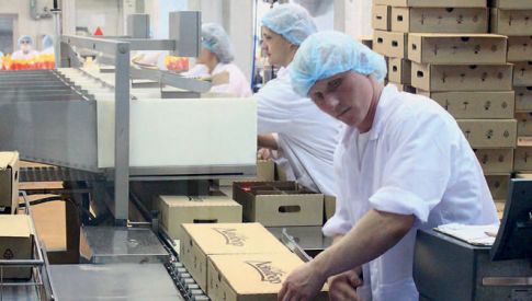 PepsiСo ждет уголовное дело по требованию Россельхознадзора