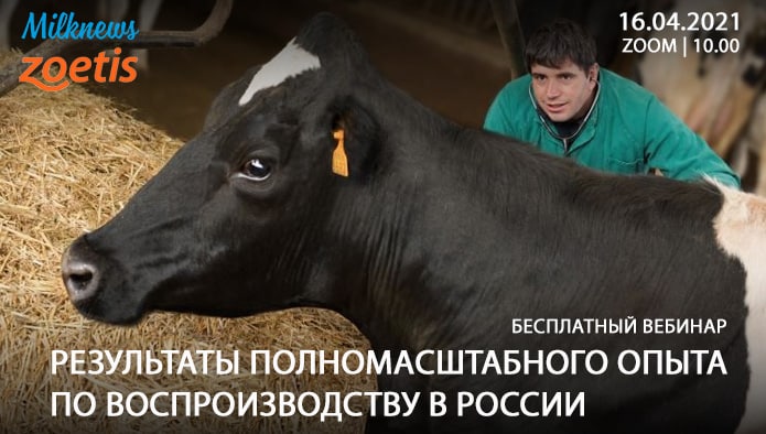 Milknews приглашает присоединиться к трансляции вебинара «Результаты полномасштабного опыта по воспроизводству в России»