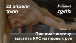 23 апреля Milknews и «Зоэтис» проведут вебинар «Про диагностику мастита КРС из первых рук»