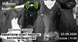 Milknews приглашает на вебинар «SMARTBOW опыт работы. Воспроизводство»