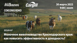 30 марта 2022 года на вебинаре «Молочное животноводство Краснодарского края» обсудят проблему теплового стресса у коров