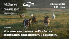 Milknews приглашает присоединиться к трансляции вебинара «Молочное животноводство Юга России: как повысить эффективность и доходность»
