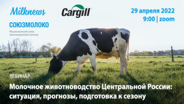 Milknews приглашает присоединиться к трансляции вебинара «Молочное животноводство Центральной России: ситуация, прогнозы, подготовка к новому сезону»