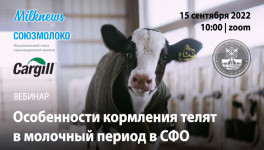 15 сентября Milknews и Cargill проведут региональный вебинар по СФО «Особенности кормления телят в молочный период»