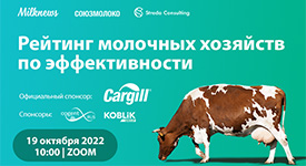 Союзмолоко назвал самые эффективные молочные фермы России