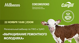 22 ноября Milknews и Cargill проведут региональный вебинар по ПФО и УрФО «Выращивание ремонтного молодняка»
